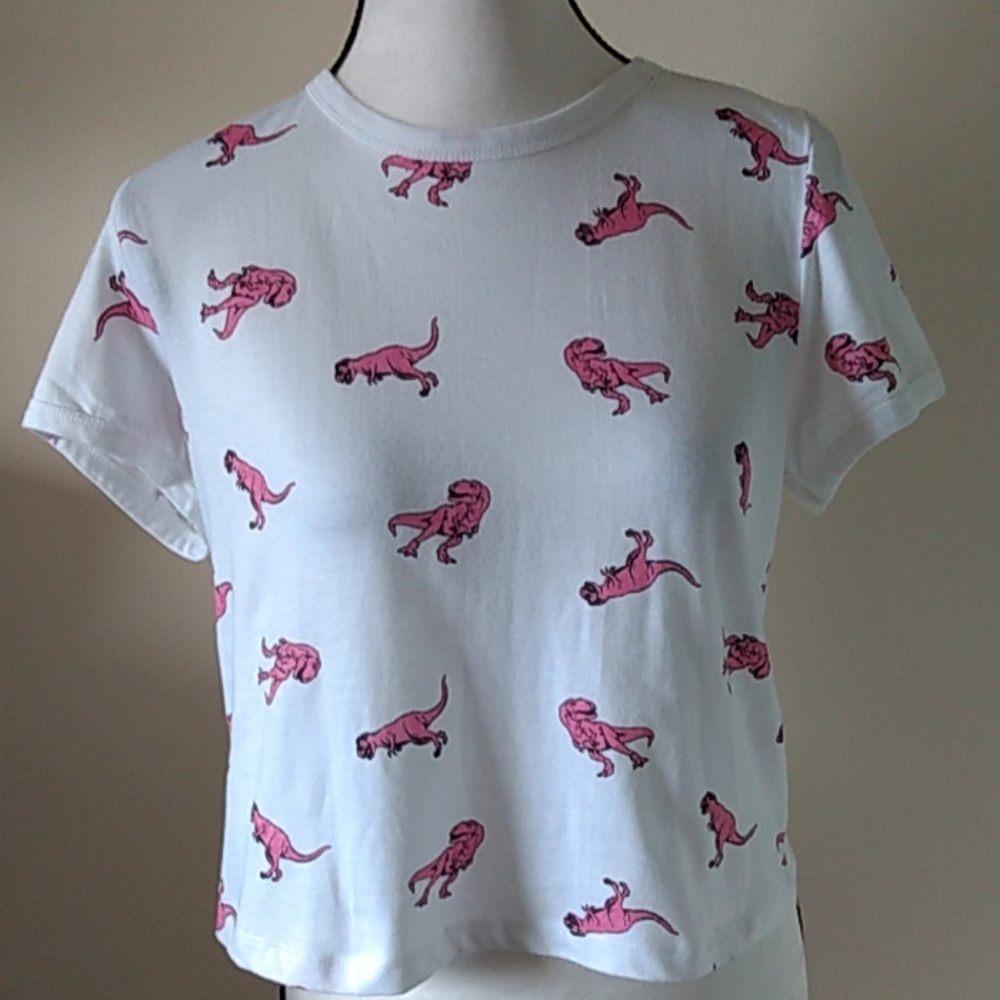 🦖Messy Bun Just Chillin crop top